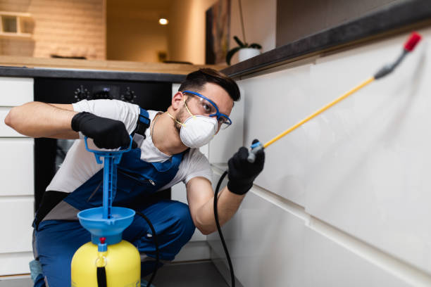 Pest Prevention Services in Enon, OH