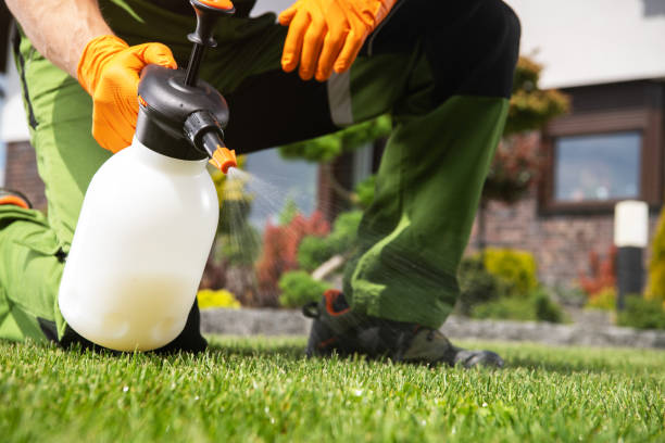 Best Local Pest Control Services  in Enon, OH