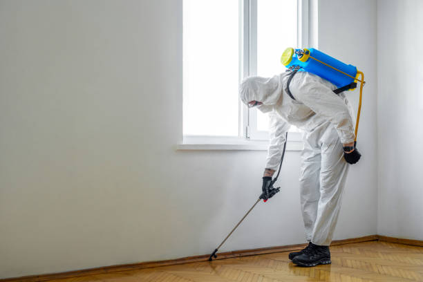 Best Pest Prevention Services  in Enon, OH