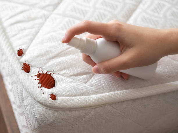 Best Mosquito Control Services  in Enon, OH
