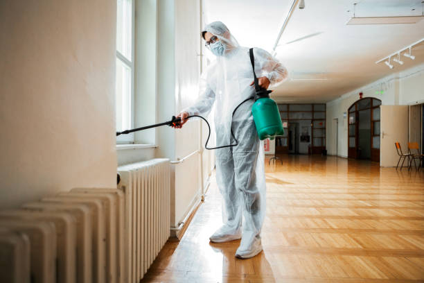 Best Affordable Pest Control Services  in Enon, OH