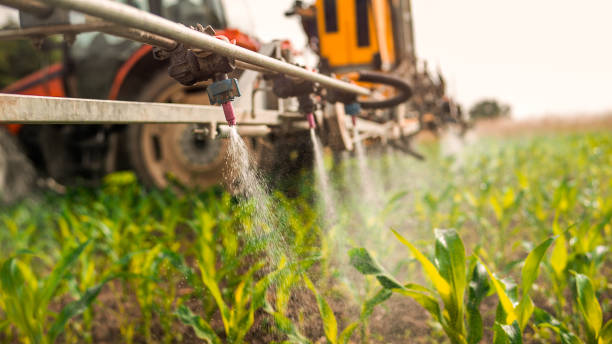 Best Ant Control Services  in Enon, OH